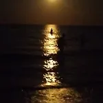 מלון דירות 